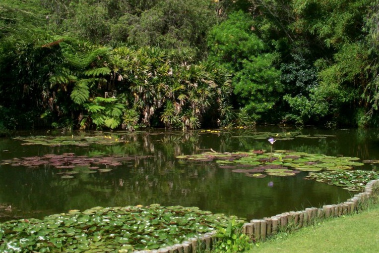 Riverside Bird Park